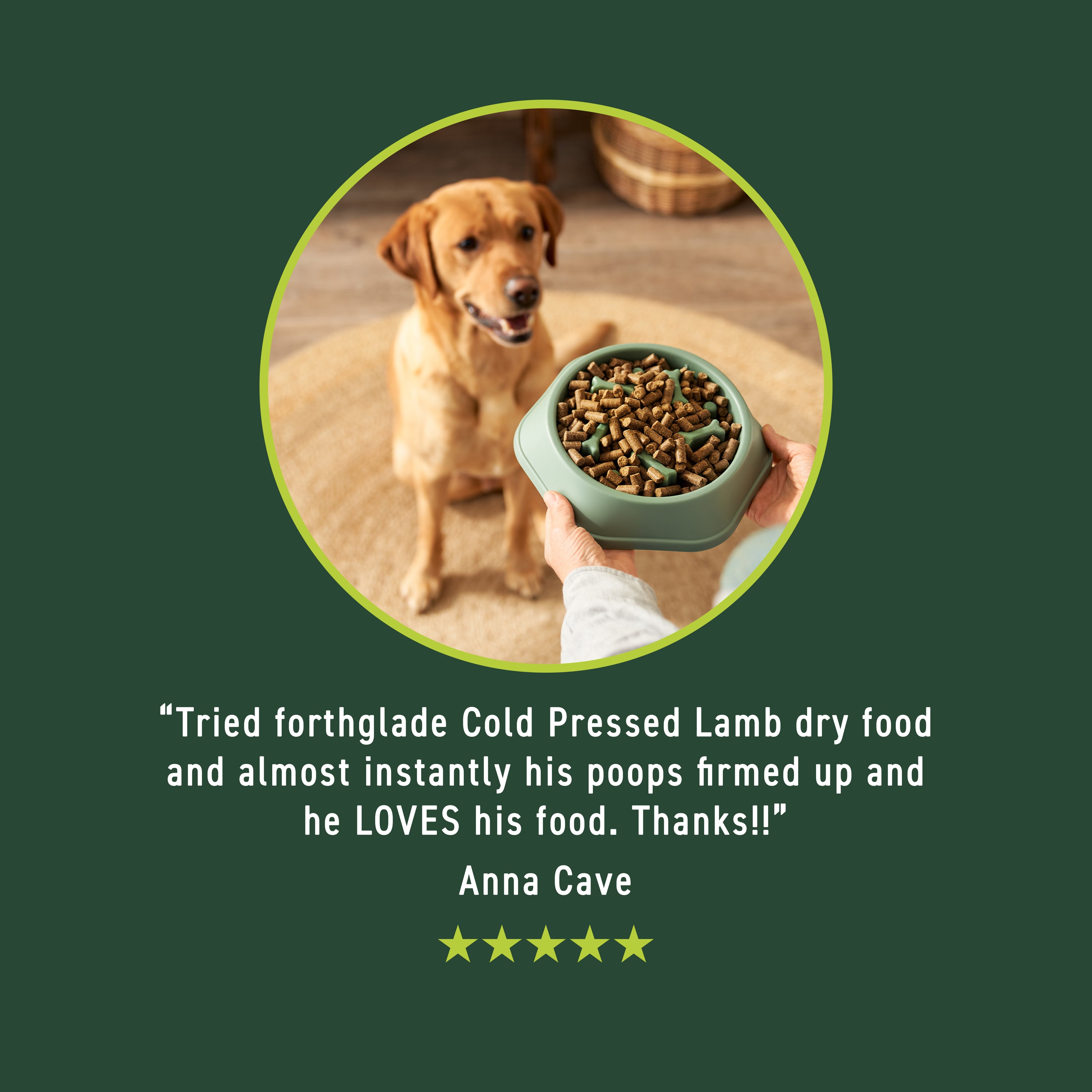 Cold Pressed Lamb Dry Dog Food