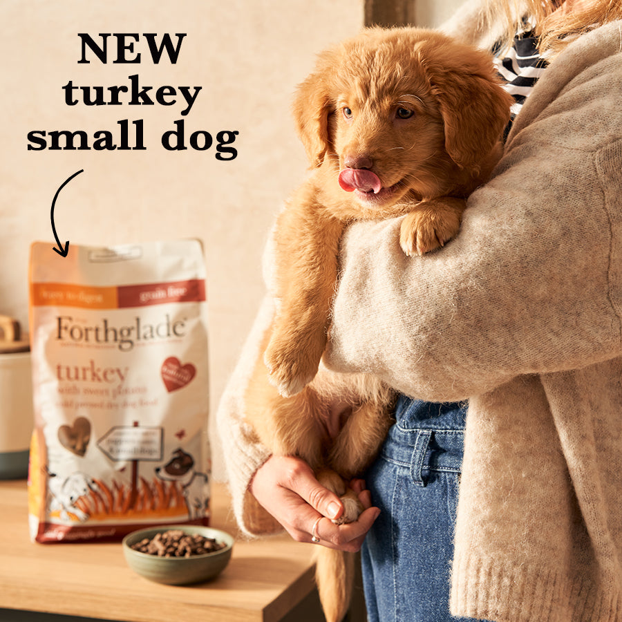 Cold Pressed Dry Dog Food Grain Free Natural Dry Food Forthglade