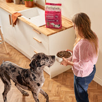 Cold Pressed Salmon Dry Dog Food