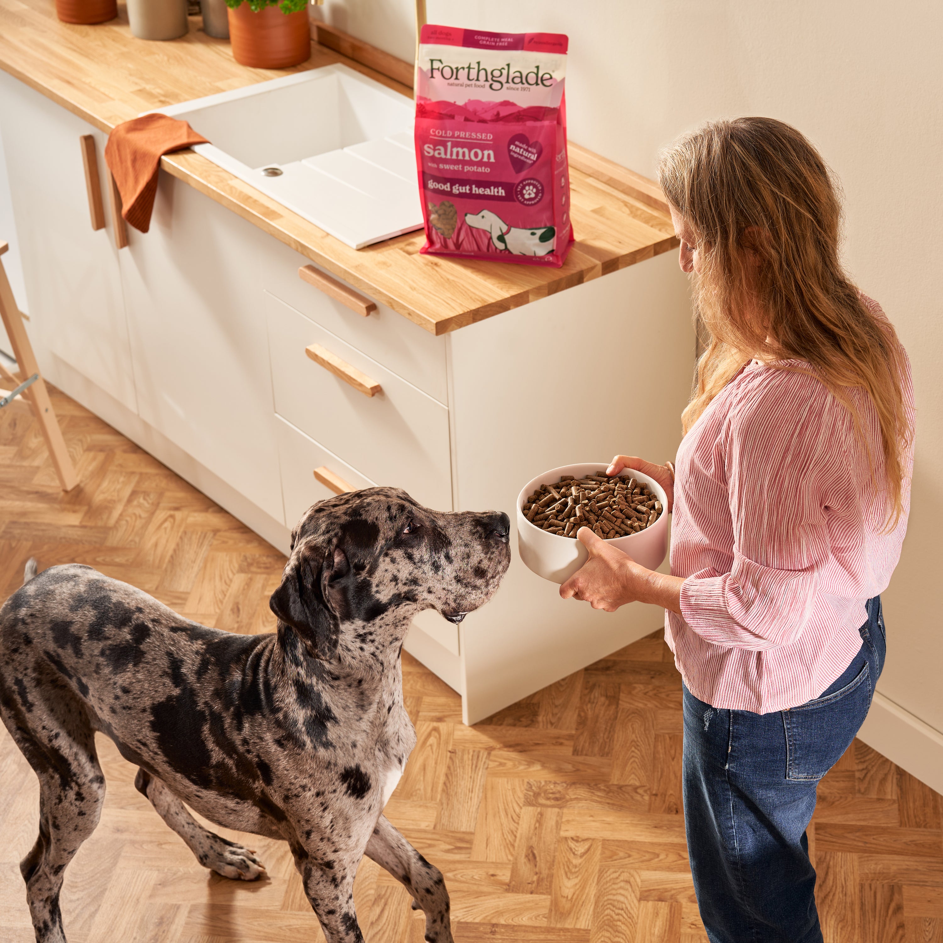 Cold Pressed Salmon Dry Dog Food