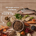 Cold Pressed Salmon Dry Dog Food