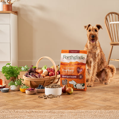 Cold Pressed Turkey Dry Dog Food