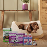Calming Bundle