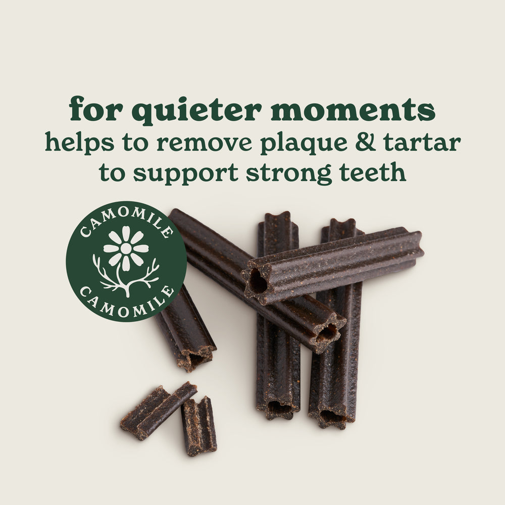 Calming Dental Sticks for Dogs