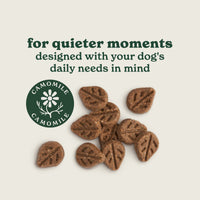 Calming Dog Treats with Camomile & Lavender