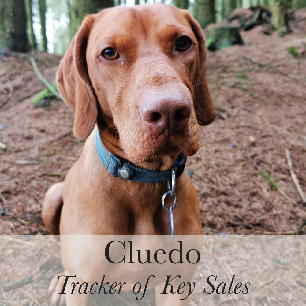 Cluedo Tracker of Key Sales