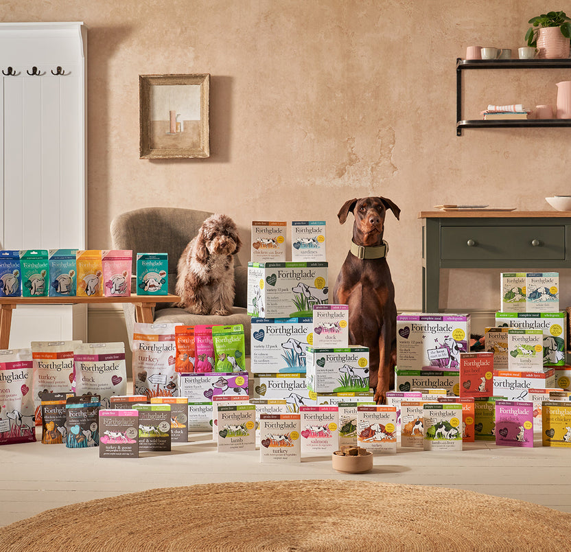 All Natural & Healthy Dog Food & Treats Forthglade