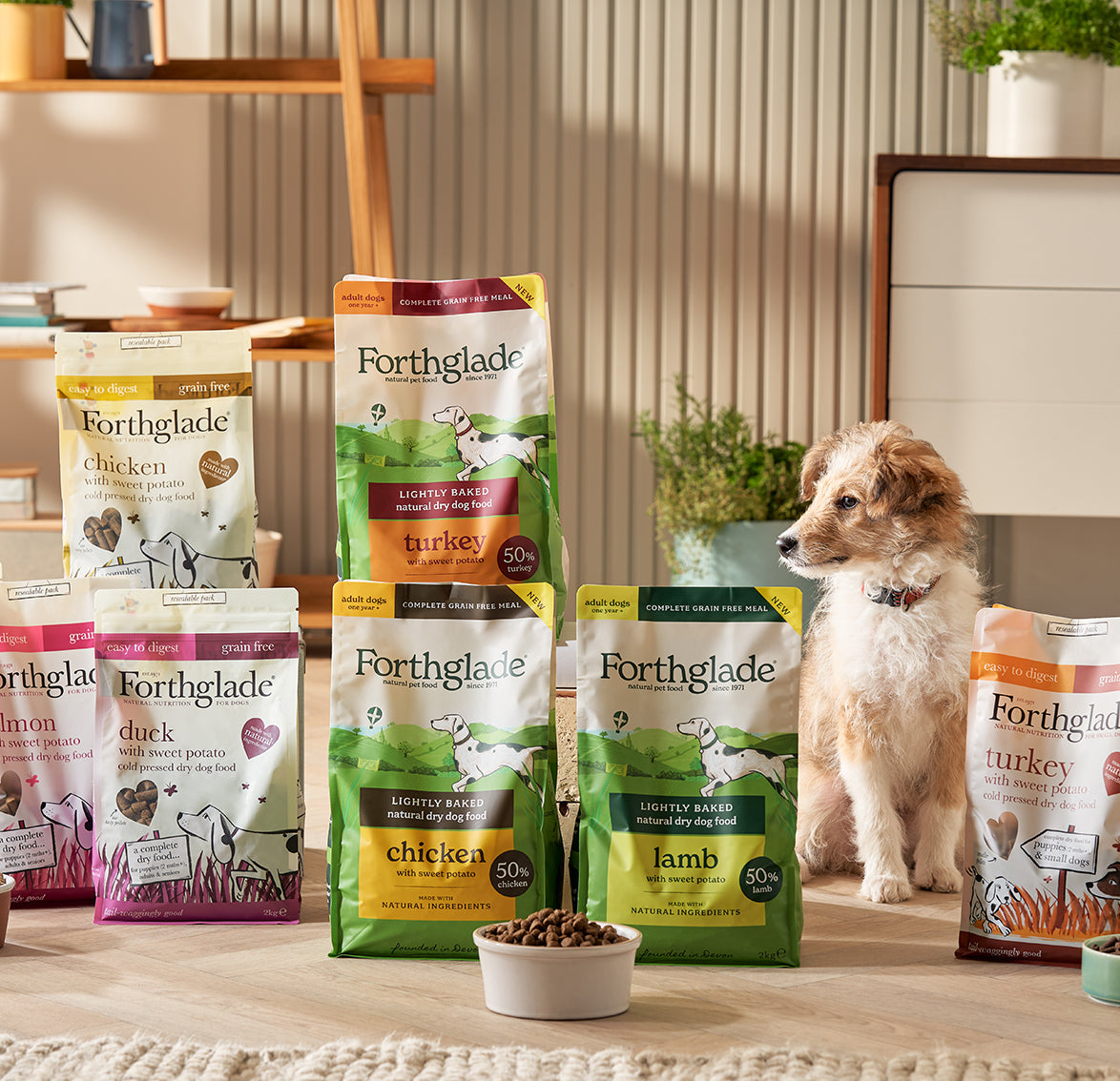 Grain based dog clearance food