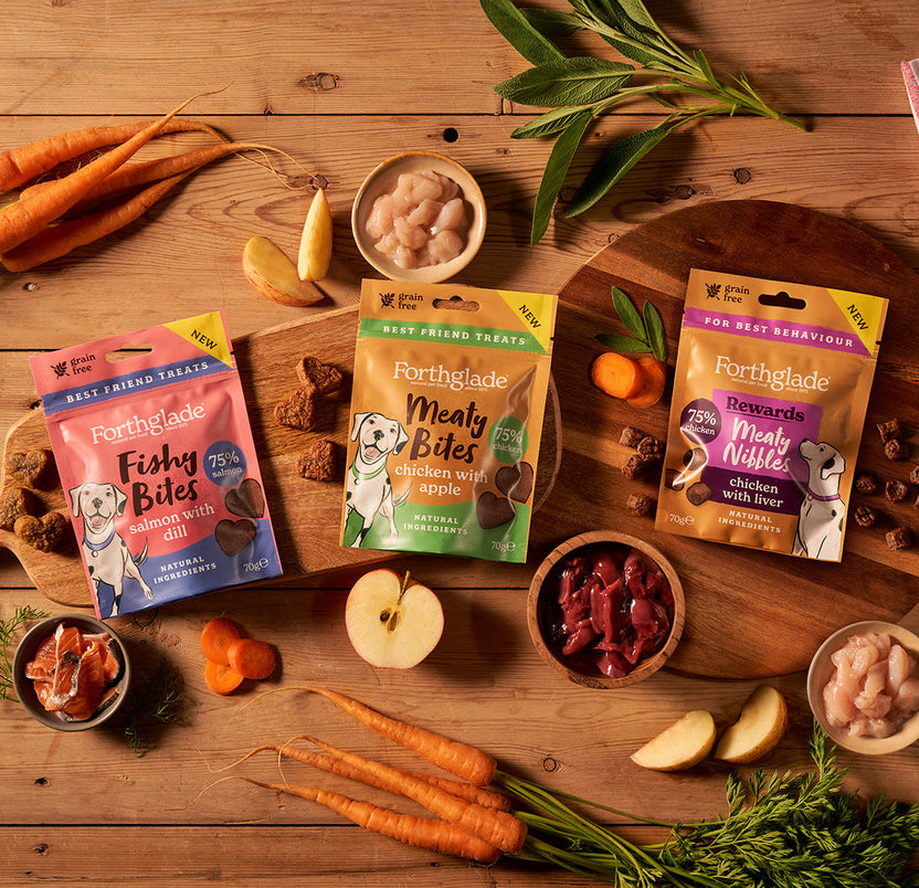 New Dog Food Recipes Forthglade