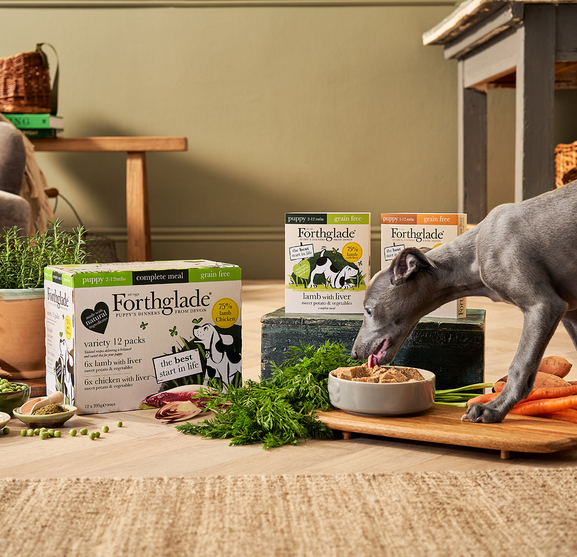 Step up to naturals puppy clearance food