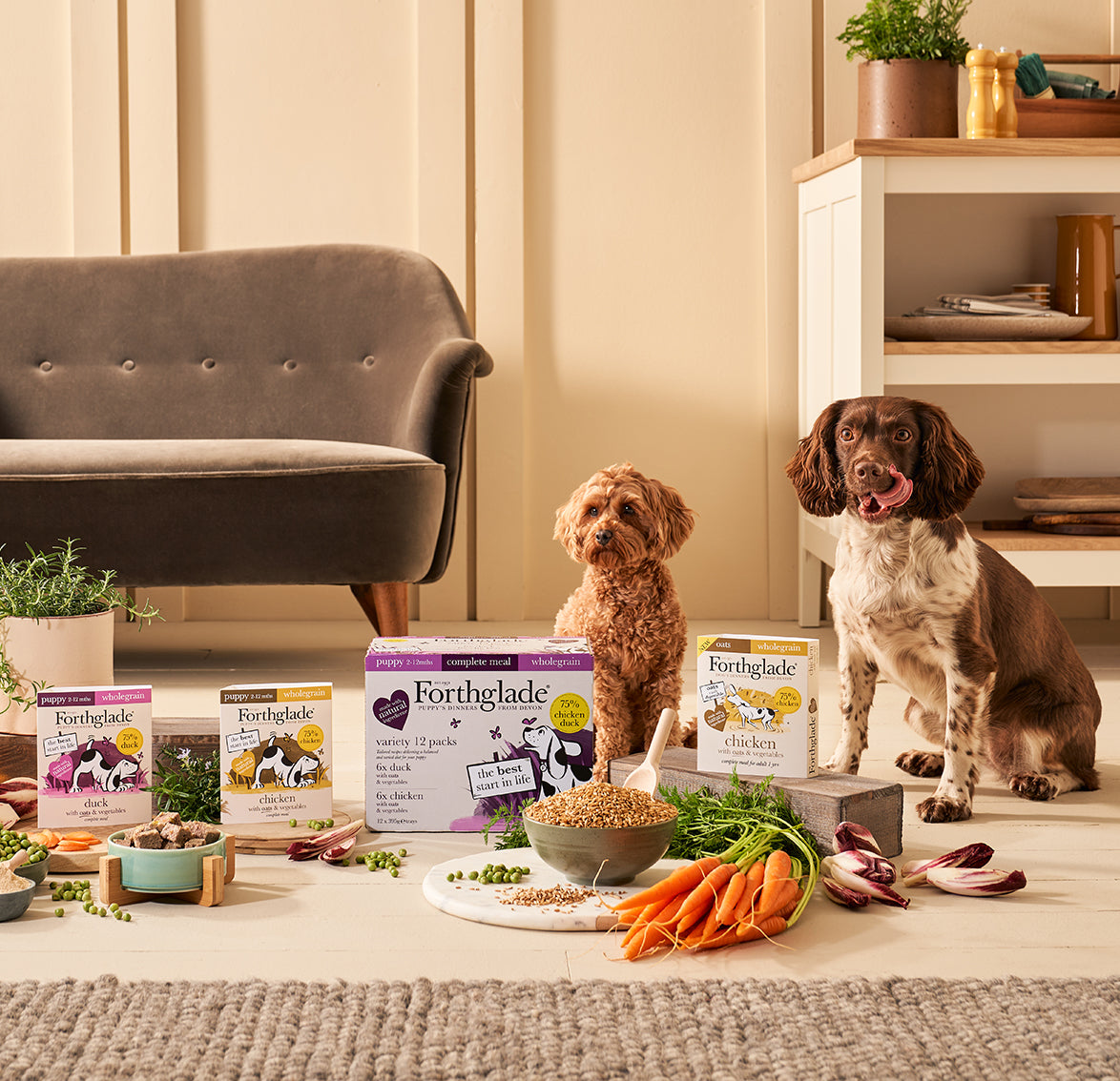 Natural hypoallergenic dog outlet food