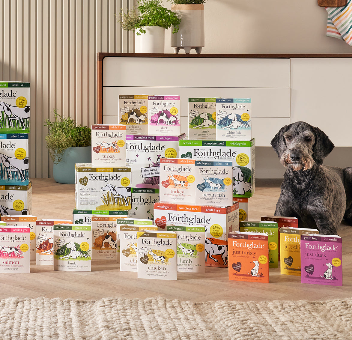 Grain free outlet wet puppy food