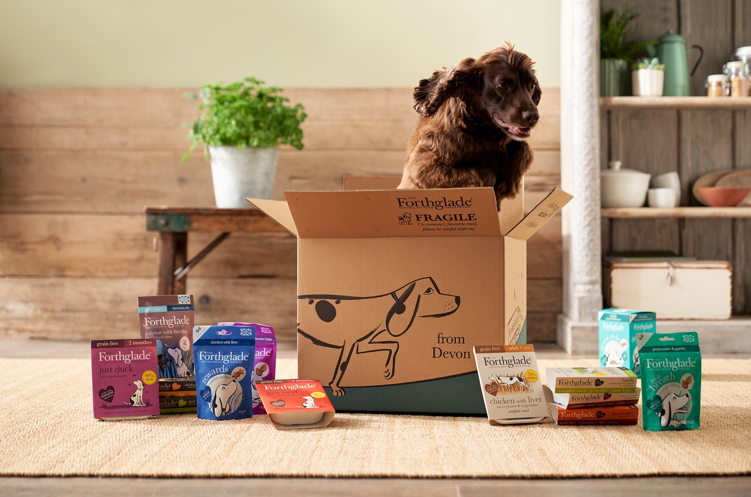 Next day best sale delivery pet supplies