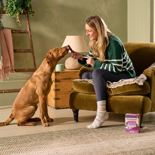 Calming Dental Sticks for Dogs (1 x 185g)