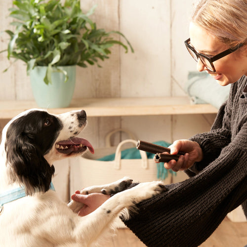 Plant Based Dog Dental Sticks