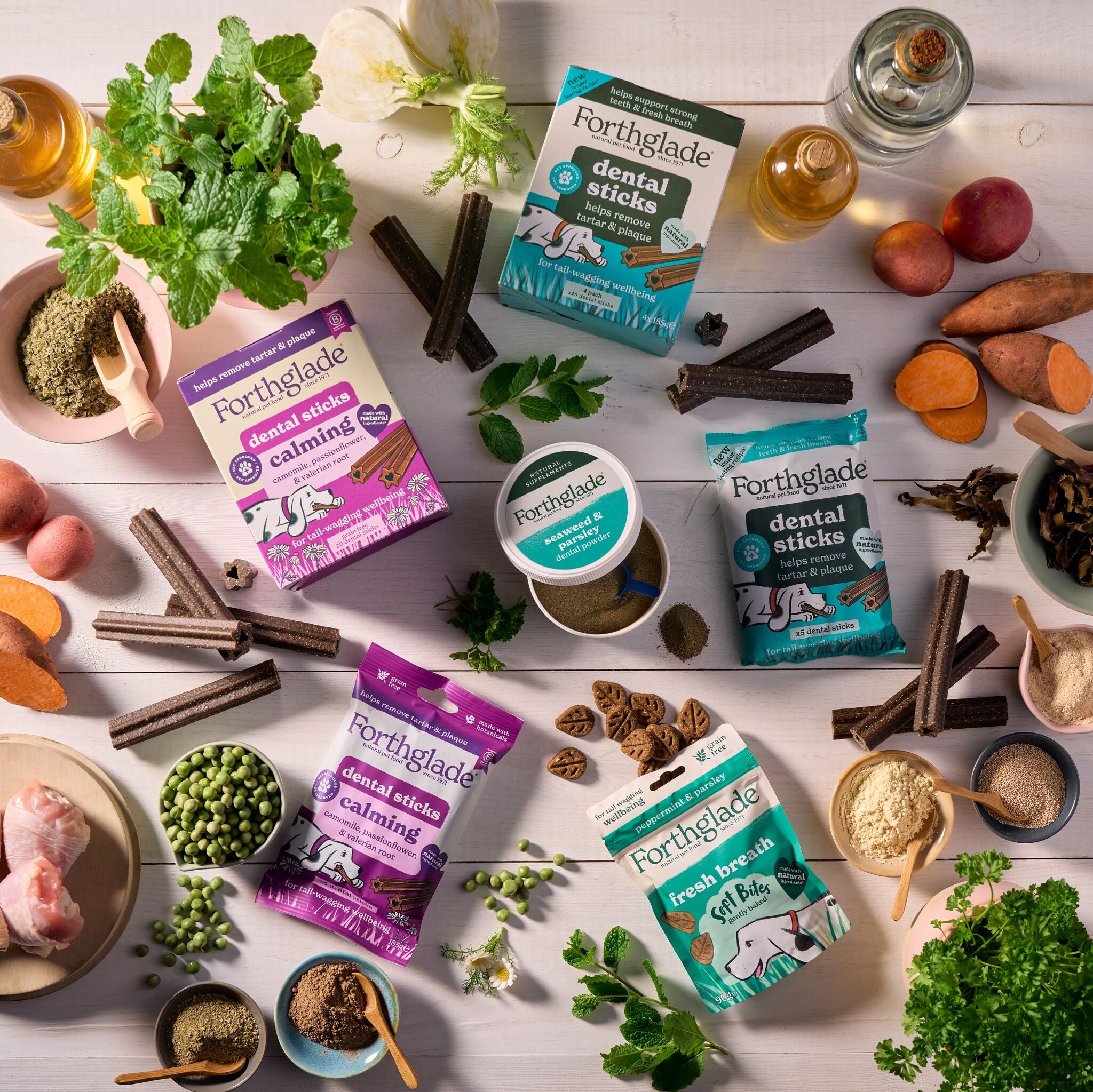 Dental Routine Bundle