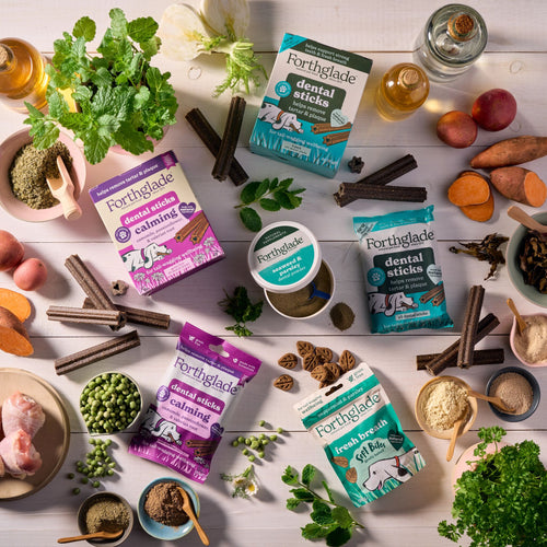 Dental Powder for Dogs