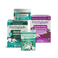 Dental Routine Bundle