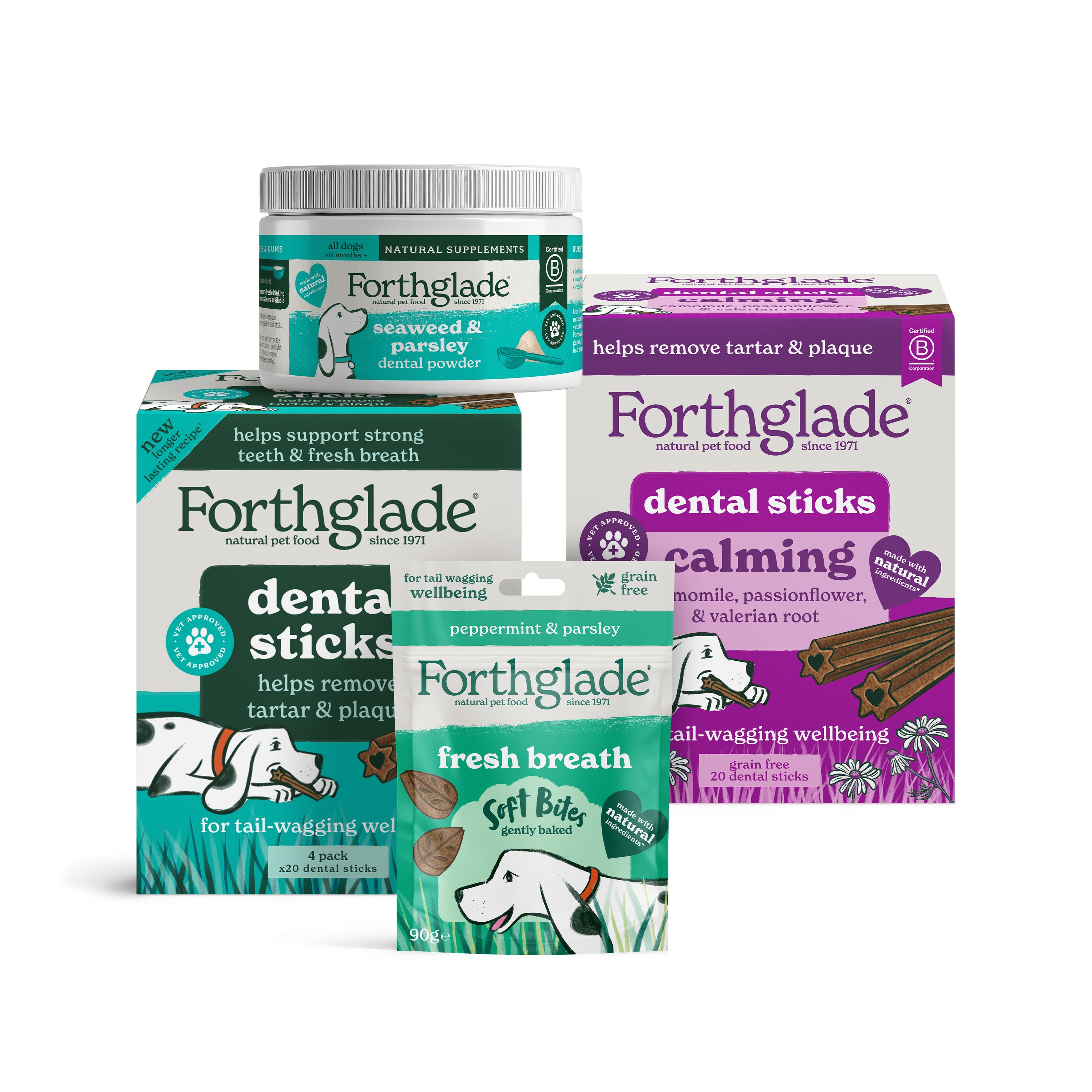 Dental Routine Bundle