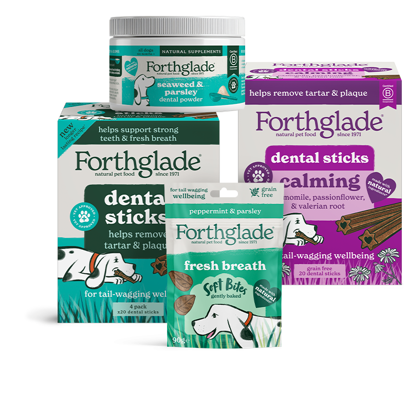 Dental Routine Bundle 790px