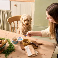 Pre & Pro Biotic Digestive Powder for Dogs