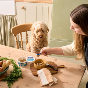 Pre & Pro Biotic Digestive Powder for Dogs
