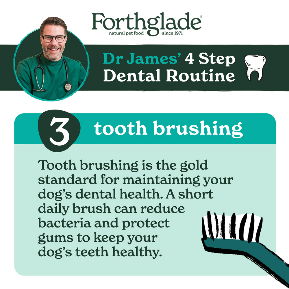 Dr James 4 Step Guide  Step3