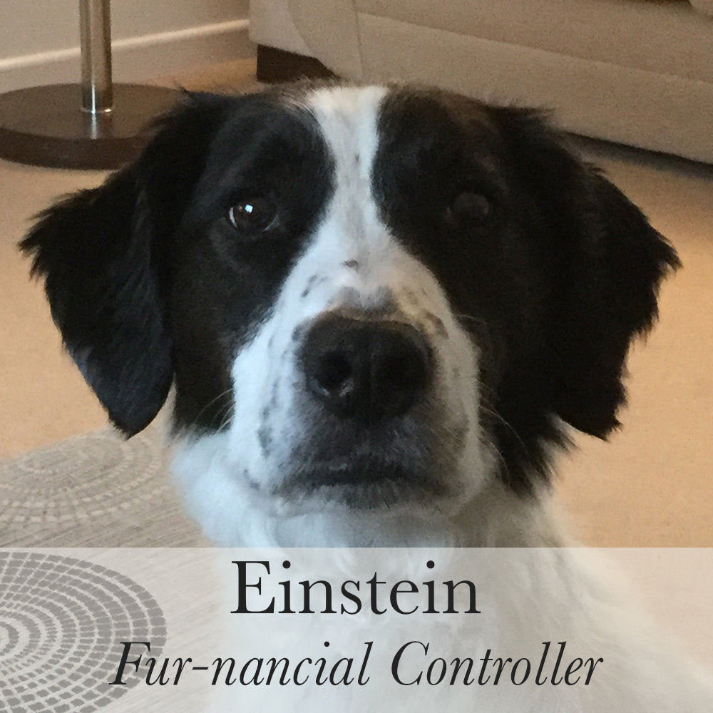 Einstein Fur nancial Controller 01b348fb 39a2 4177 975e e86a47685b5e