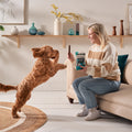 Fresh Breath Dog Dental Sticks