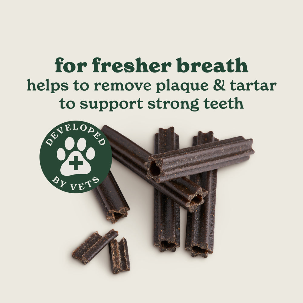 Wellbeing Essentials Dog Treats & Supplements Bundle