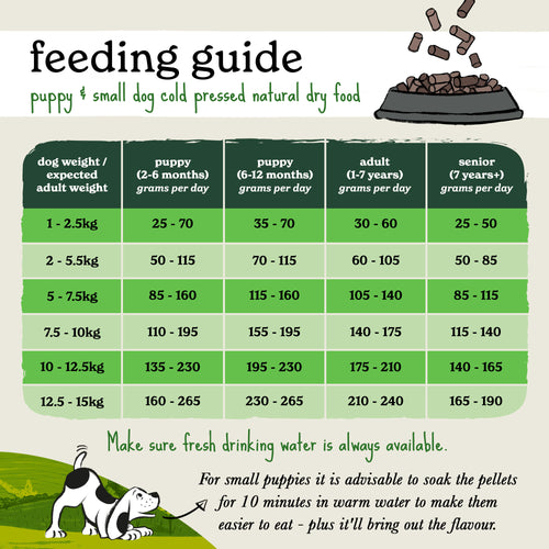 When Can My Puppy Have Adult Dog Food: Expert Timing Tips