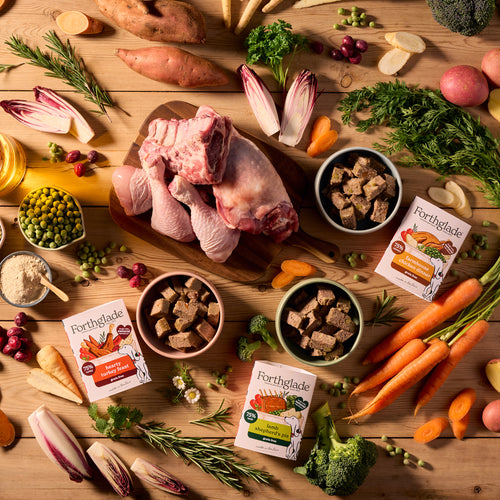 Small Portion Hearty Turkey Feast