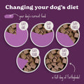 Duck With Pear & Vegetables Wet Dog Food