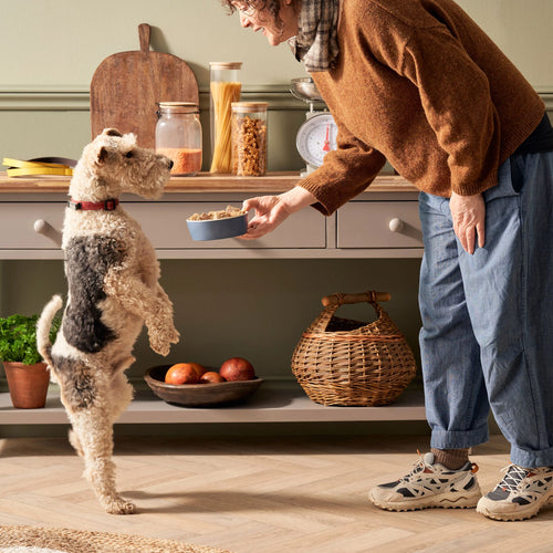 Complete Adult Grain Free Chicken & Turkey Sample Pack