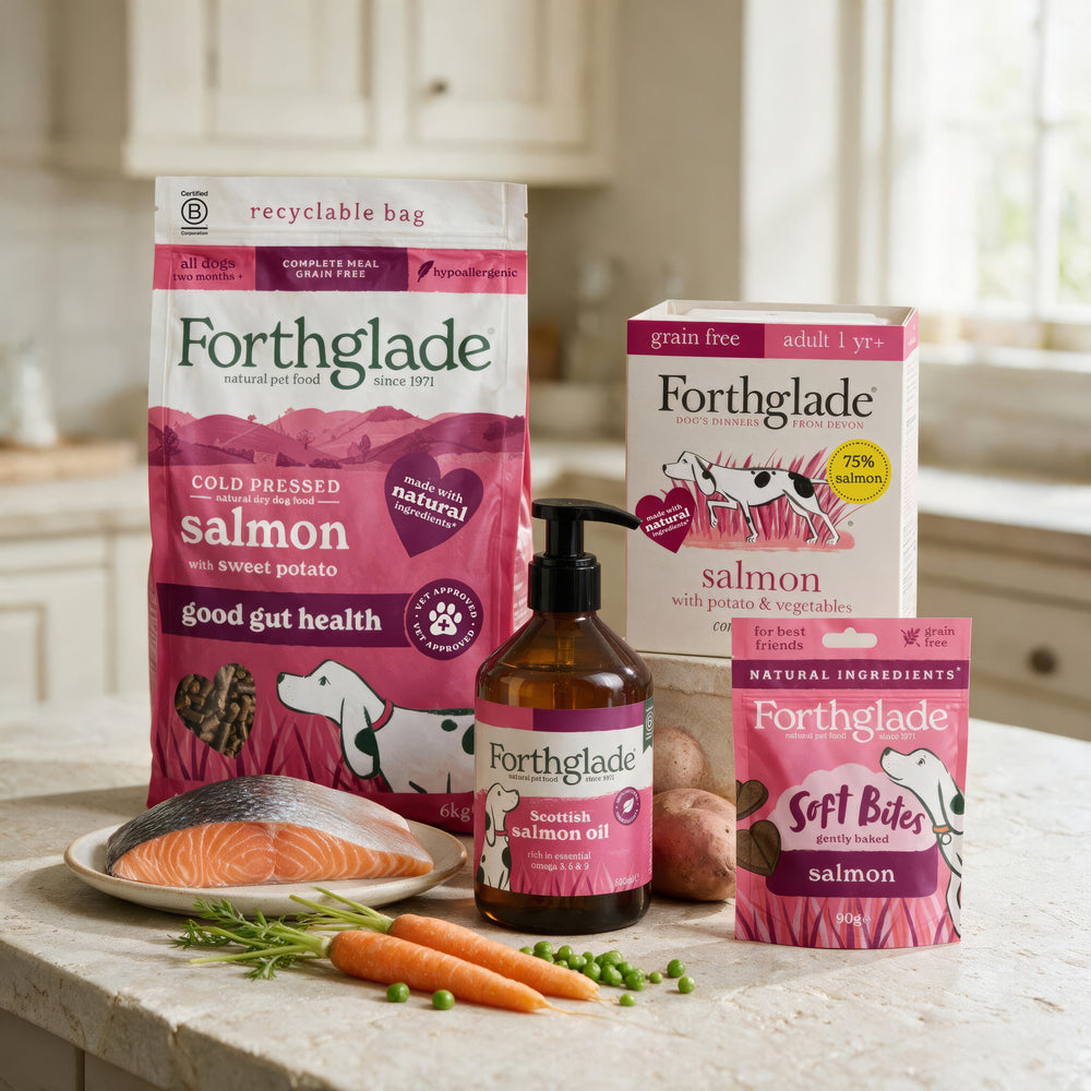 Everything Salmon Dog Food & Treat Variety Bundle
