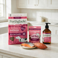 Salmon Dry Dog Food, Treats & Supplements Bundle