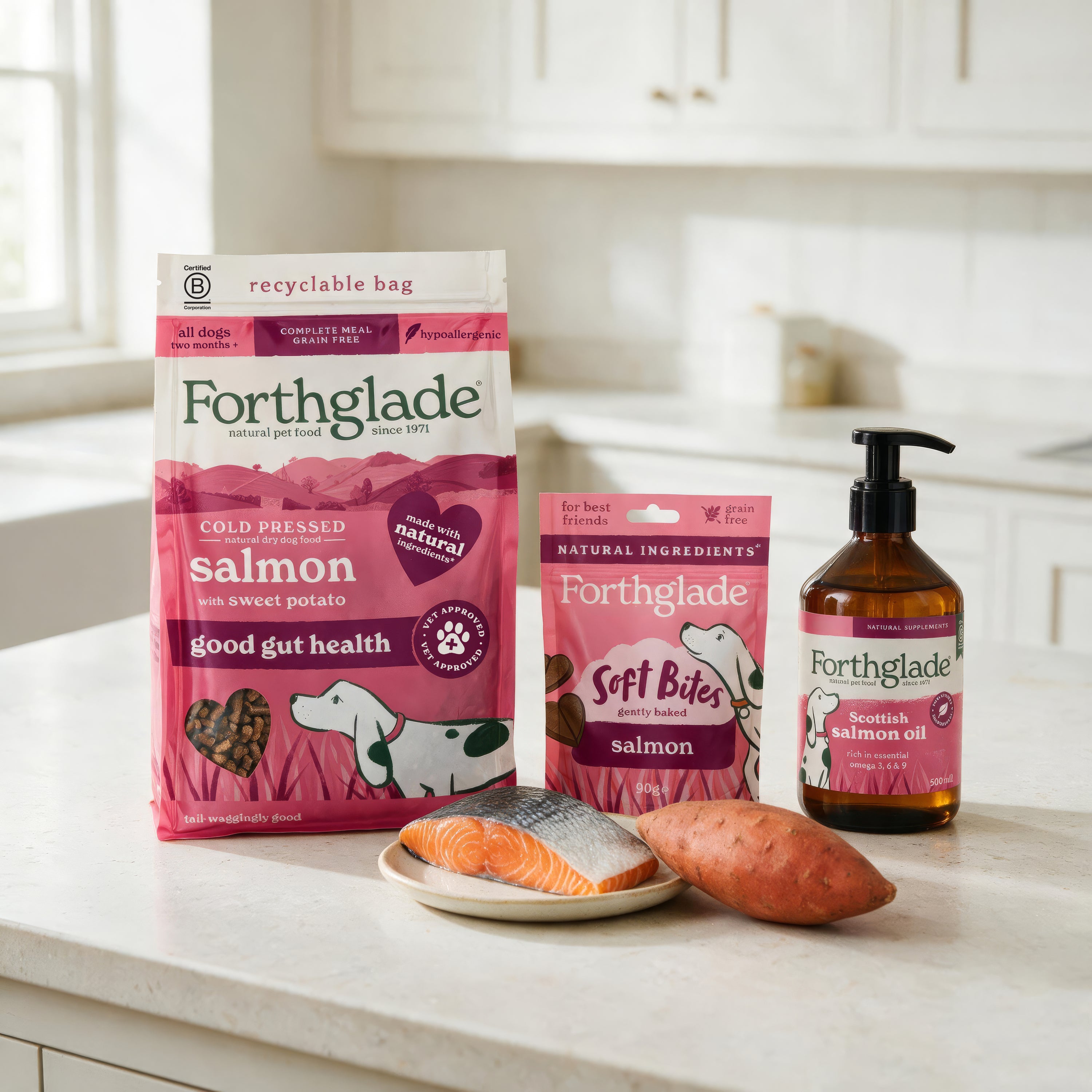 Salmon Dry Dog Food, Treats & Supplements Bundle