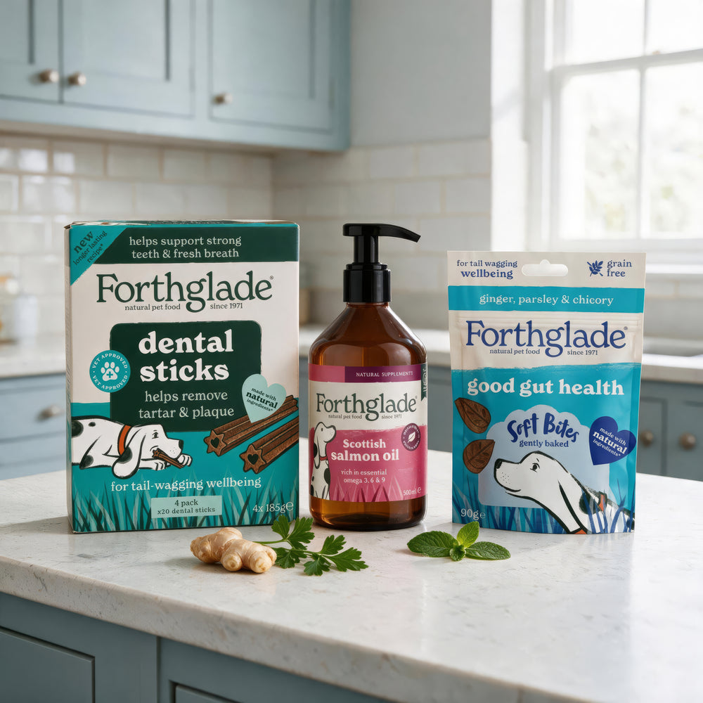Wellbeing Essentials Dog Treats & Supplements Bundle
