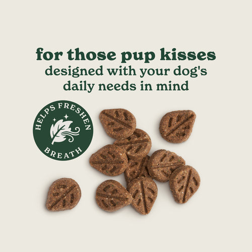 Fresh Breath Peppermint & Parsley Dog Treats