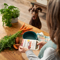 Beef & Sweet Potato Wet Dog Food