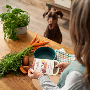 Beef & Sweet Potato Wet Dog Food