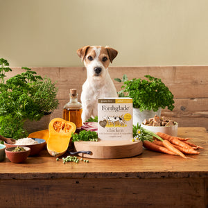 Chicken & Butternut Squash Wet Dog Food