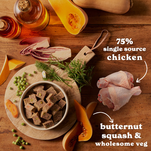 Chicken & Butternut Squash Wet Dog Food