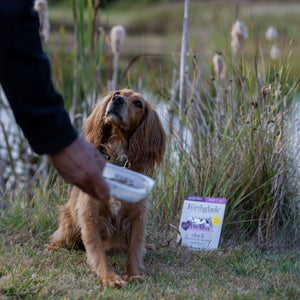 Duck & Potato Wet Dog Food