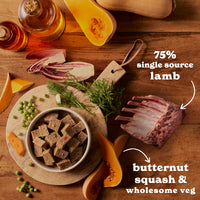 Lamb & Butternut Squash Wet Dog Food