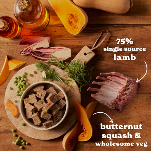 Lamb & Butternut Squash Wet Dog Food