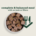 Lamb & Butternut Squash Wet Dog Food