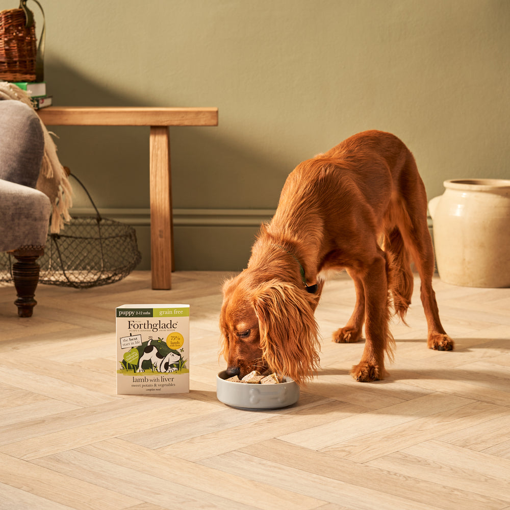 Puppy Lamb & Liver Wet Dog Food
