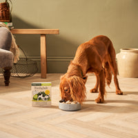 Puppy Lamb & Liver Wet Dog Food