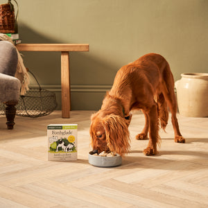 Puppy Lamb & Liver Wet Dog Food